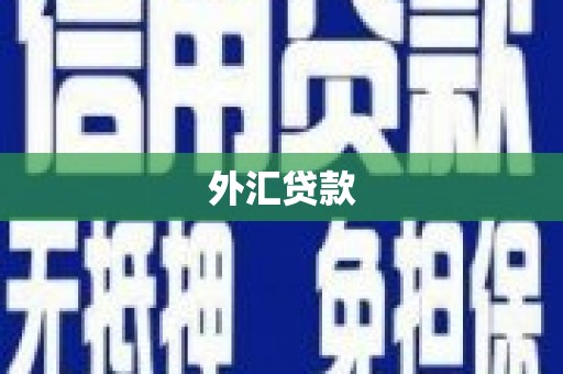 洞头外汇贷款
