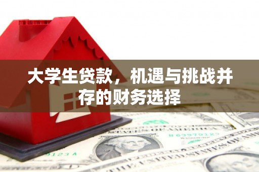 洞头大学生贷款，机遇与挑战并存的财务选择