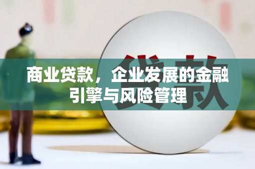 洞头商业贷款，企业发展的金融引擎与风险管理