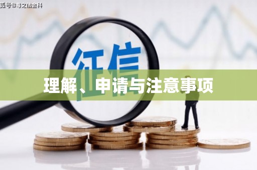 洞头理解、申请与注意事项
