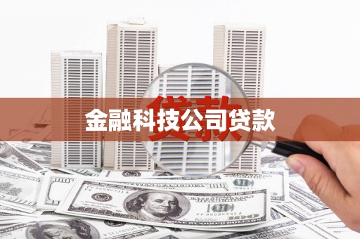 洞头金融科技公司贷款
