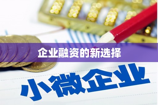 洞头企业融资的新选择
