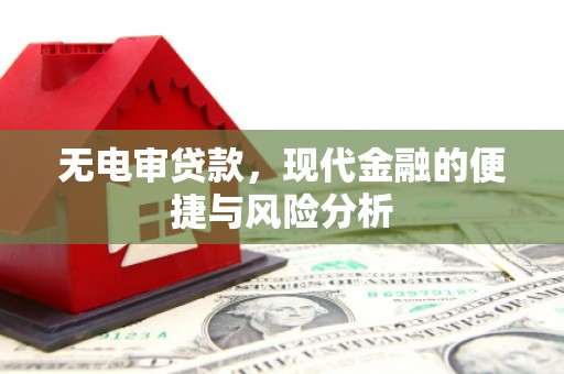 洞头无电审贷款，现代金融的便捷与风险分析
