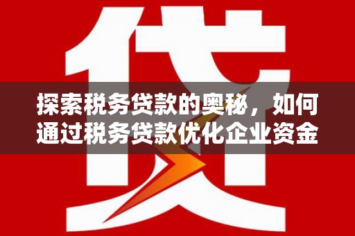 洞头探索税务贷款的奥秘，如何通过税务贷款优化企业资金流