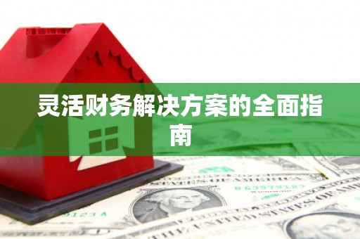 洞头灵活财务解决方案的全面指南