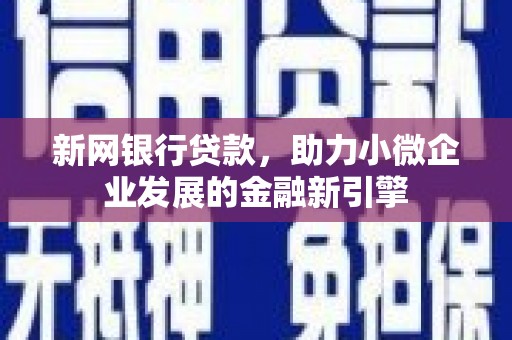 洞头新网银行贷款，助力小微企业发展的金融新引擎