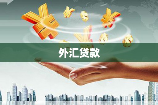 洞头外汇贷款