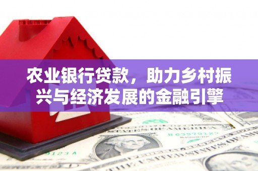洞头农业银行贷款，助力乡村振兴与经济发展的金融引擎