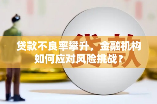 洞头贷款不良率攀升，金融机构如何应对风险挑战？