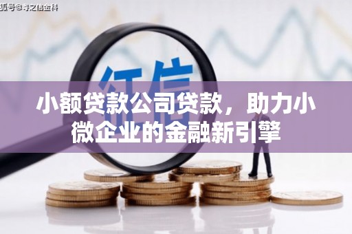 洞头小额贷款公司贷款，助力小微企业的金融新引擎