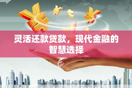 洞头灵活还款贷款，现代金融的智慧选择