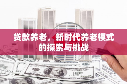 洞头贷款养老，新时代养老模式的探索与挑战