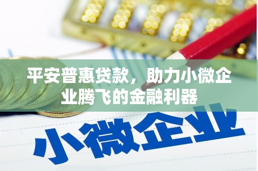 洞头平安普惠贷款，助力小微企业腾飞的金融利器