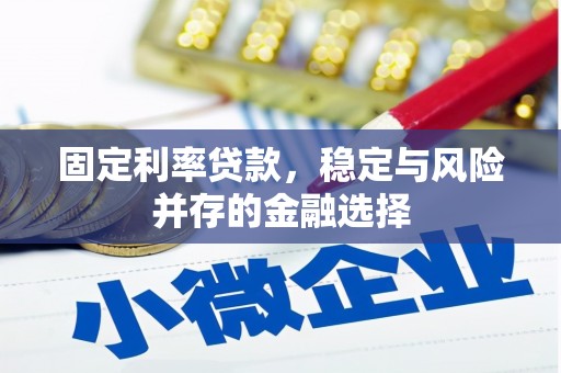 洞头固定利率贷款，稳定与风险并存的金融选择