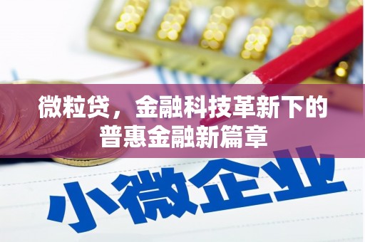 洞头微粒贷，金融科技革新下的普惠金融新篇章