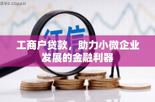 洞头工商户贷款，助力小微企业发展的金融利器