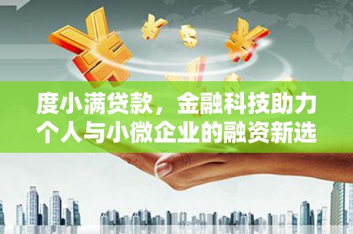 洞头度小满贷款，金融科技助力个人与小微企业的融资新选择