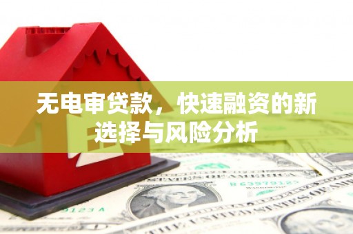 洞头无电审贷款，快速融资的新选择与风险分析