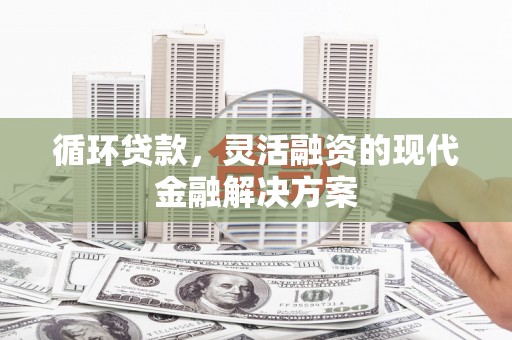 洞头循环贷款，灵活融资的现代金融解决方案