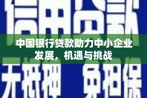 洞头中国银行贷款助力中小企业发展，机遇与挑战