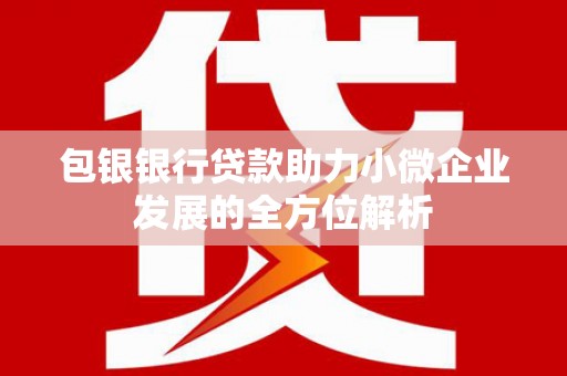洞头包银银行贷款助力小微企业发展的全方位解析