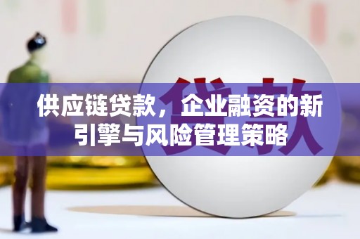 洞头供应链贷款，企业融资的新引擎与风险管理策略