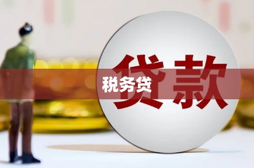 洞头税务贷