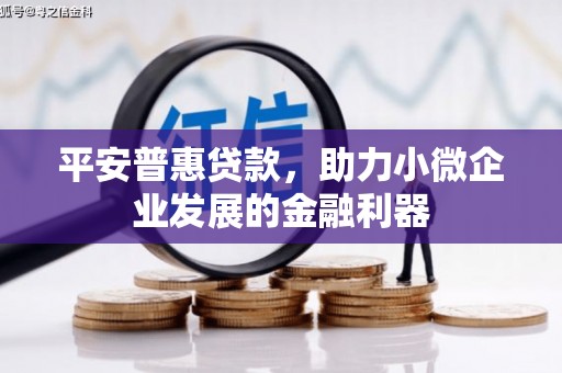 洞头平安普惠贷款，助力小微企业发展的金融利器