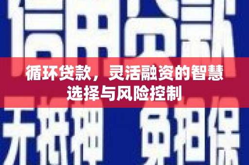 洞头循环贷款，灵活融资的智慧选择与风险控制