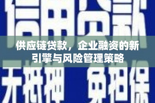 洞头供应链贷款，企业融资的新引擎与风险管理策略
