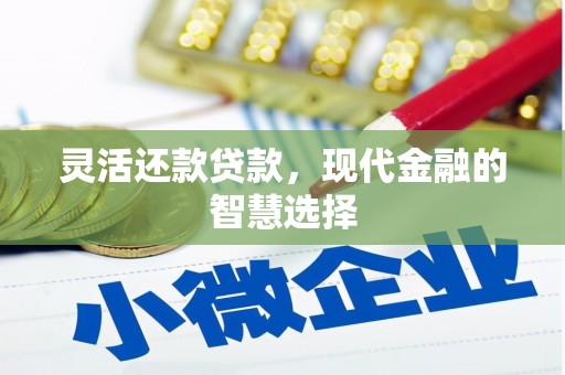 洞头灵活还款贷款，现代金融的智慧选择