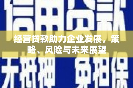 洞头经营贷款助力企业发展，策略、风险与未来展望