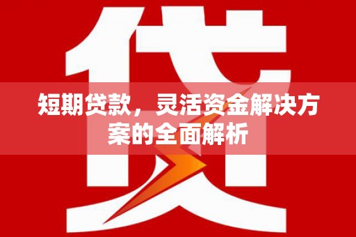 洞头短期贷款，灵活资金解决方案的全面解析