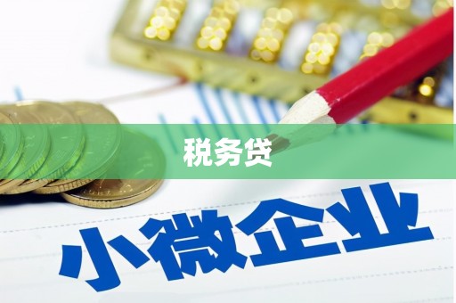 洞头税务贷