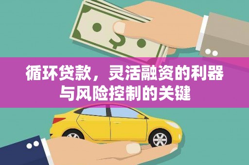洞头循环贷款，灵活融资的利器与风险控制的关键