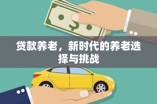 洞头贷款养老，新时代的养老选择与挑战
