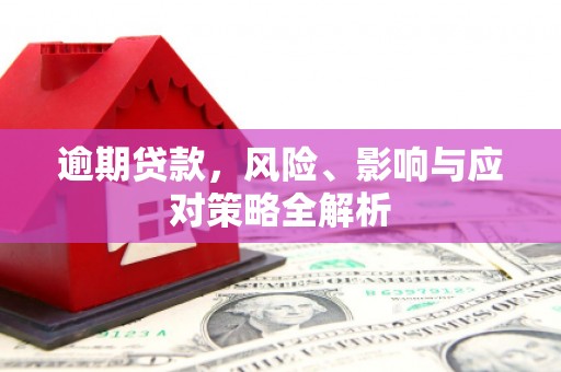 洞头逾期贷款，风险、影响与应对策略全解析