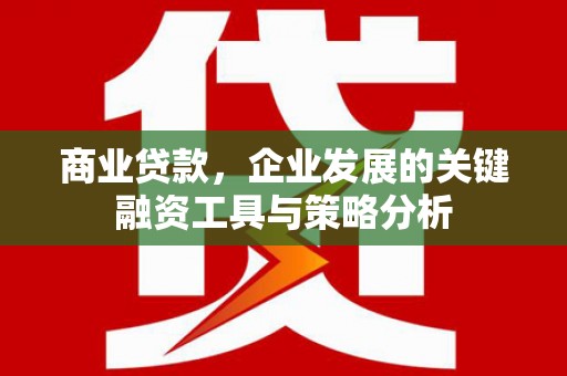 洞头商业贷款，企业发展的关键融资工具与策略分析