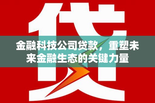 洞头金融科技公司贷款，重塑未来金融生态的关键力量