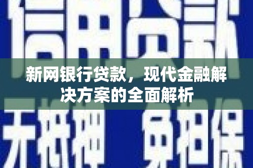 洞头新网银行贷款，现代金融解决方案的全面解析