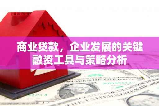 洞头商业贷款，企业发展的关键融资工具与策略分析