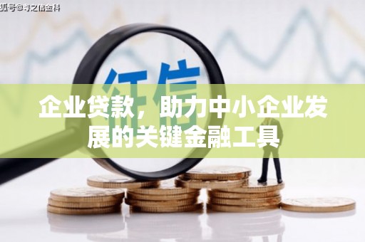 洞头企业贷款，助力中小企业发展的关键金融工具