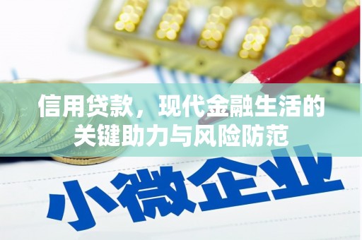 洞头信用贷款，现代金融生活的关键助力与风险防范