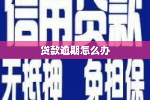 洞头贷款逾期怎么办