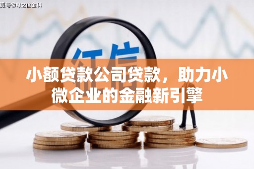 洞头小额贷款公司贷款，助力小微企业的金融新引擎