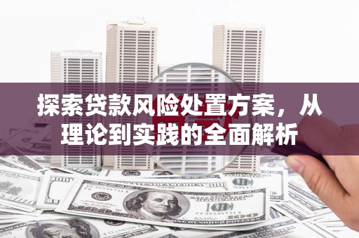 洞头探索贷款风险处置方案，从理论到实践的全面解析