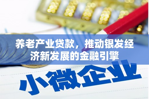 洞头养老产业贷款，推动银发经济新发展的金融引擎