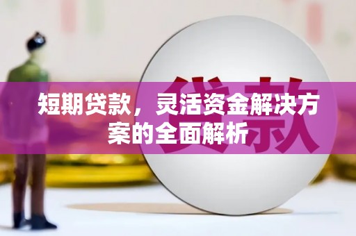洞头短期贷款，灵活资金解决方案的全面解析