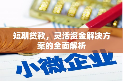 洞头短期贷款，灵活资金解决方案的全面解析