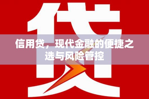 洞头信用贷，现代金融的便捷之选与风险管控